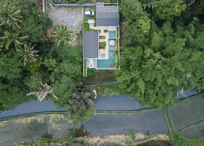 Extravagant In The Jungle Of Villa