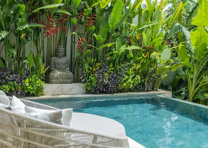 Extravagant In The Jungle Of *